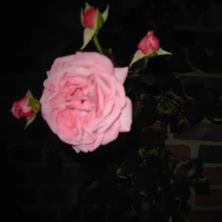 Gerendaház Bauernhof Barlo Bocholt